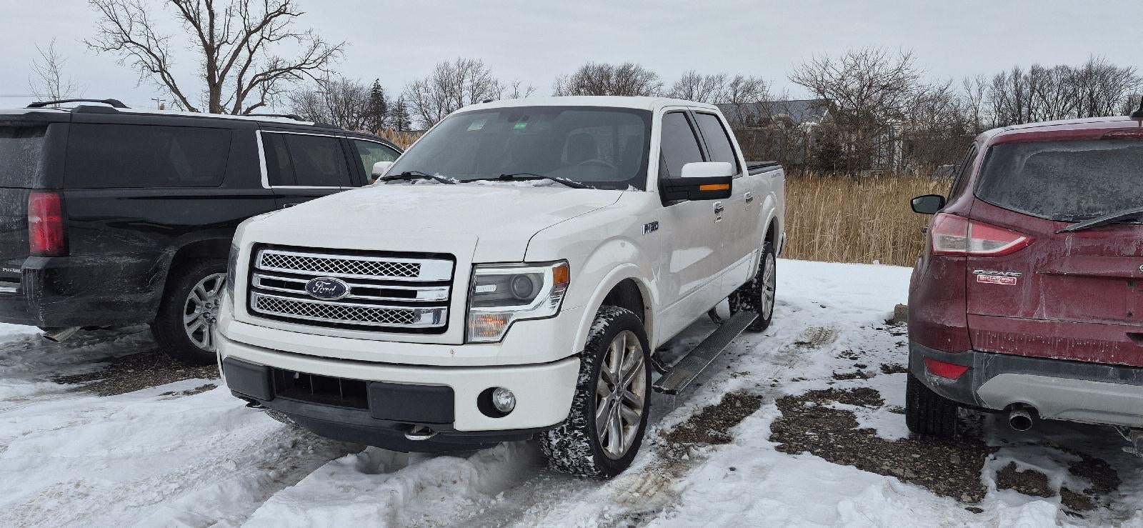 2014 Ford F-150 Platinum