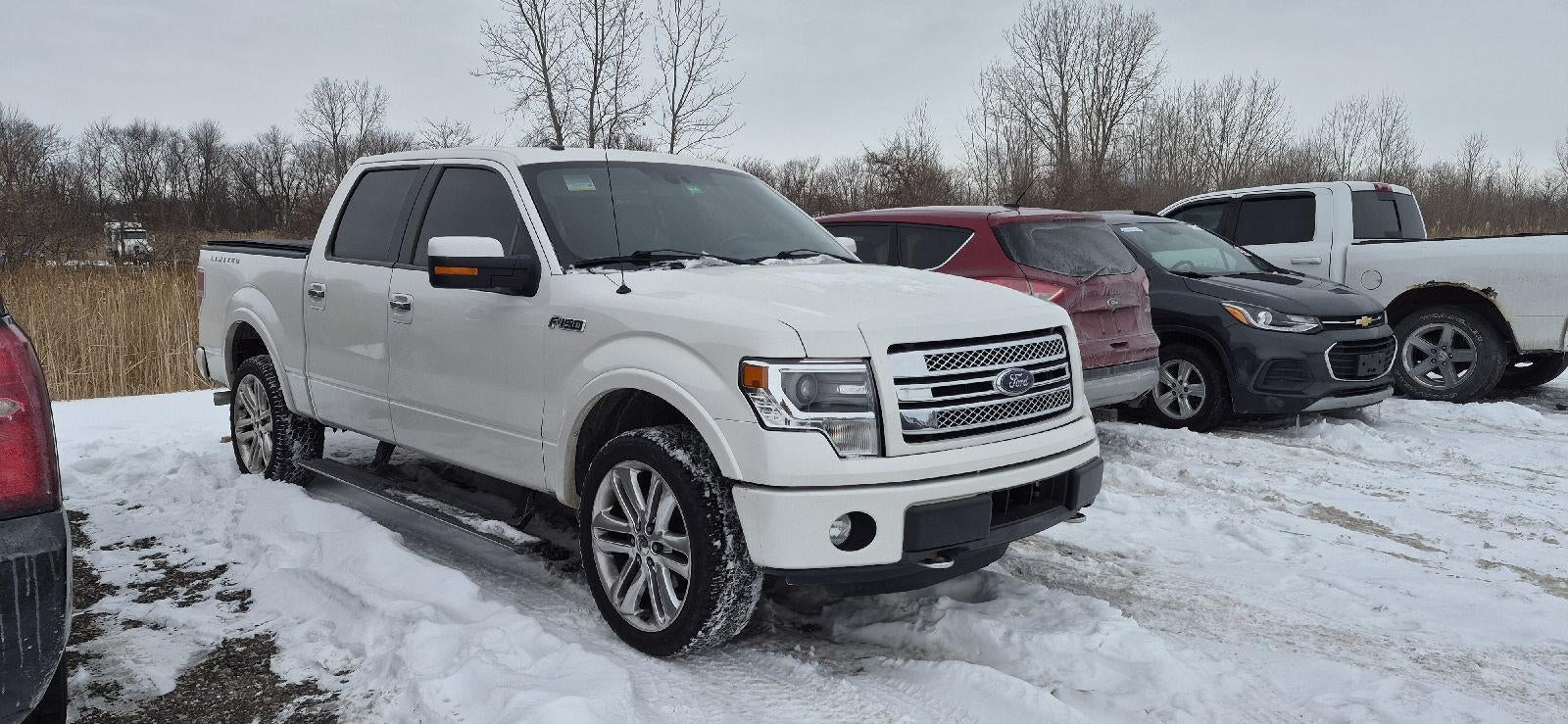 2014 Ford F-150 Platinum
