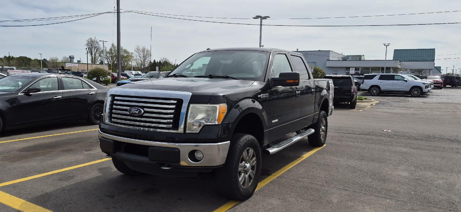 2011 Ford F-150 Platinum 4x4 SuperCrew 145-in's photo