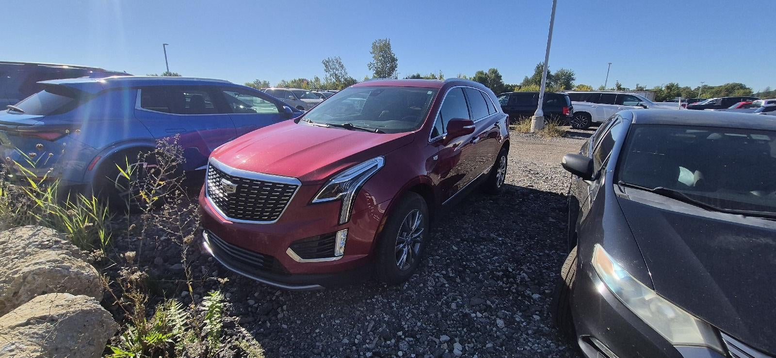 2021 Cadillac XT5 FWD Premium Luxury