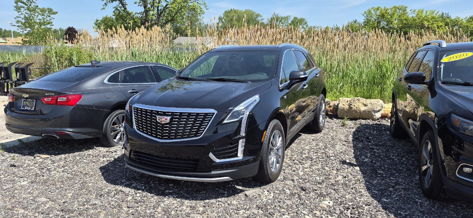 2023 Cadillac XT5 FWD Premium Luxury's photo