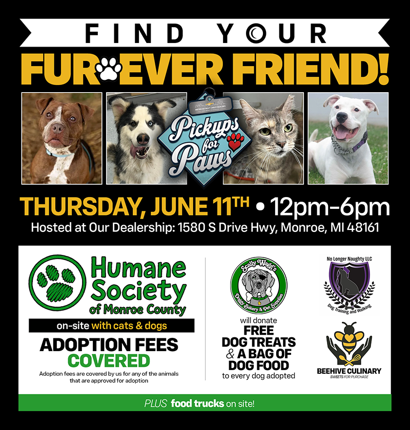 Pet Adoption Event